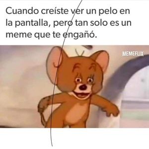 Meet your Posher, Luis